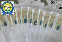 250 câu hỏi lái xe a2